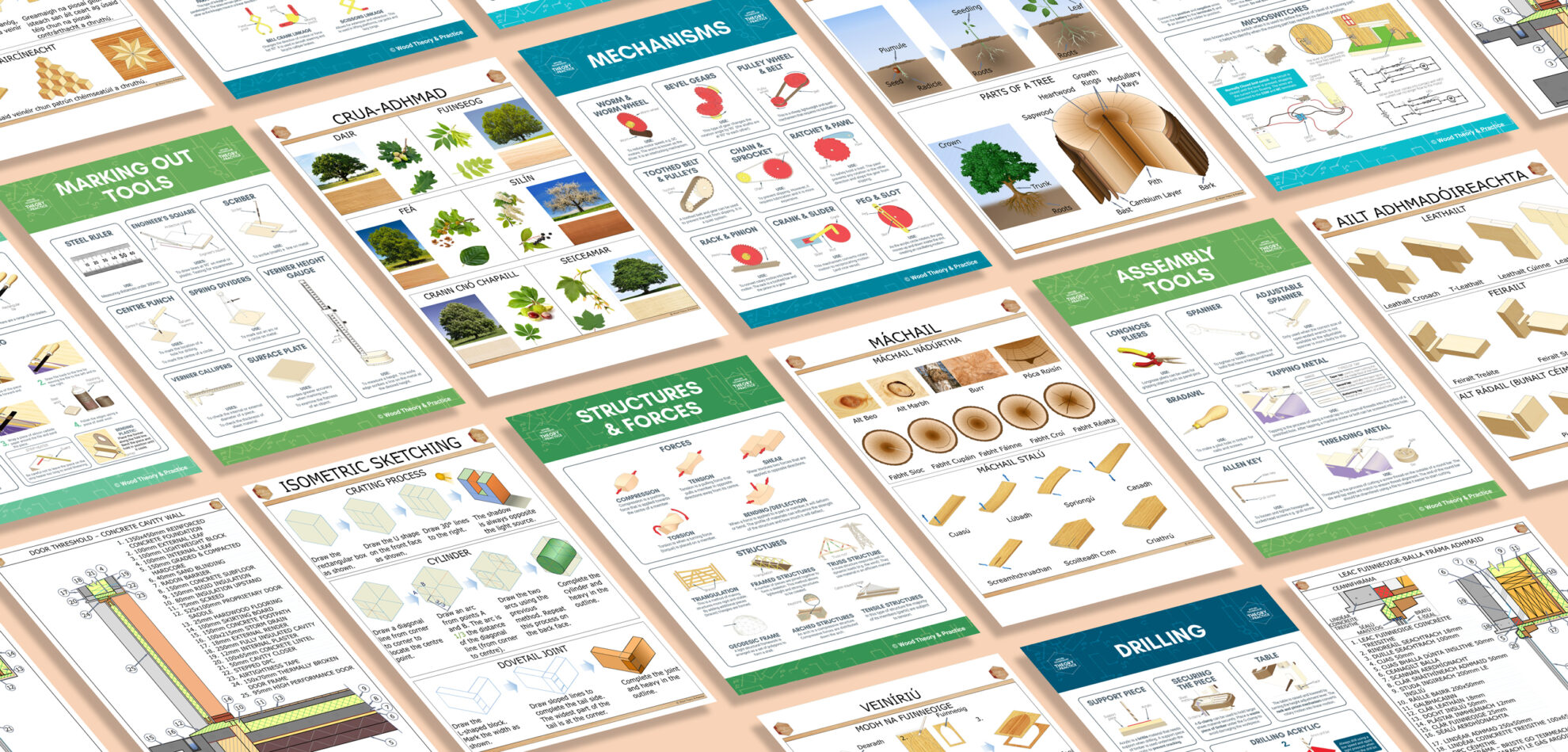 Theory & Practice | Junior Cycle Textbooks, Resources, Projects & Posters